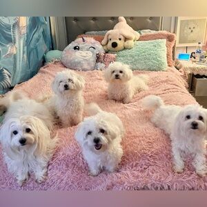 Meet your Posher, Cristy